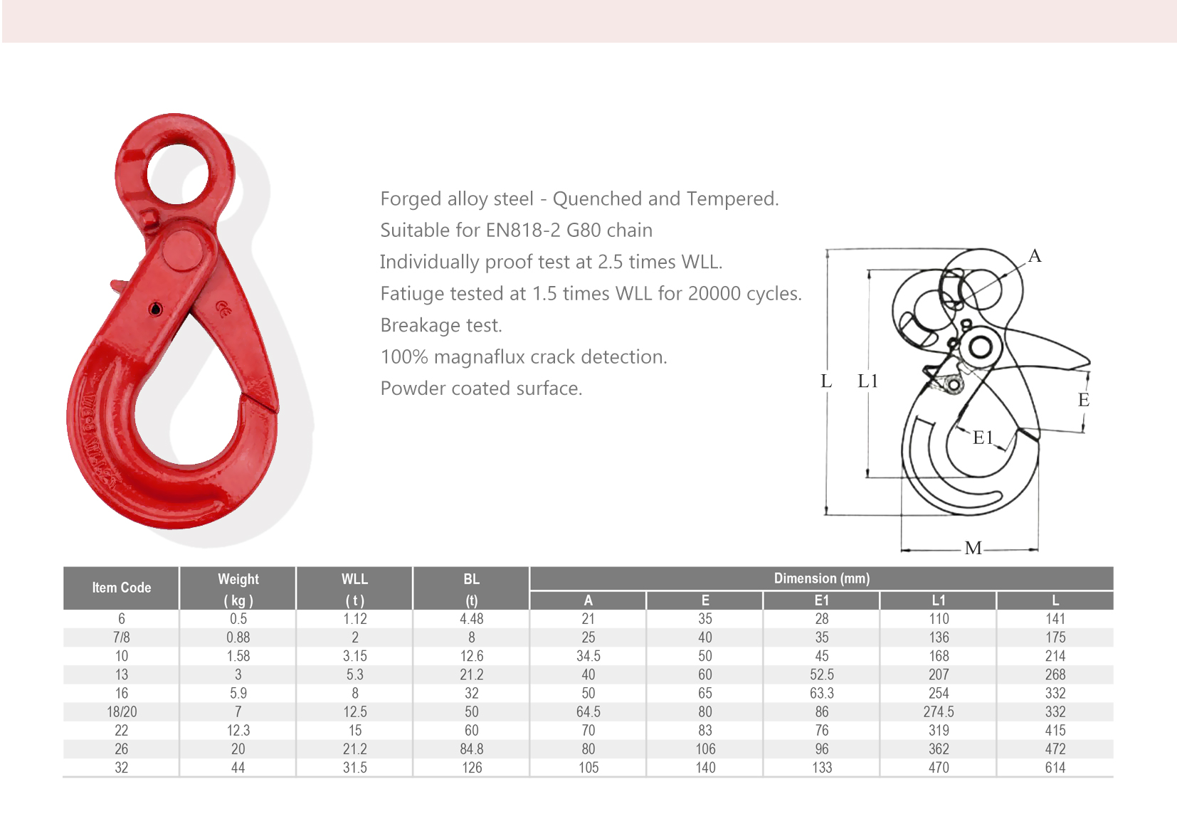 G80?&nbsp;-?&nbsp;IEL-0421H - spec.jpg