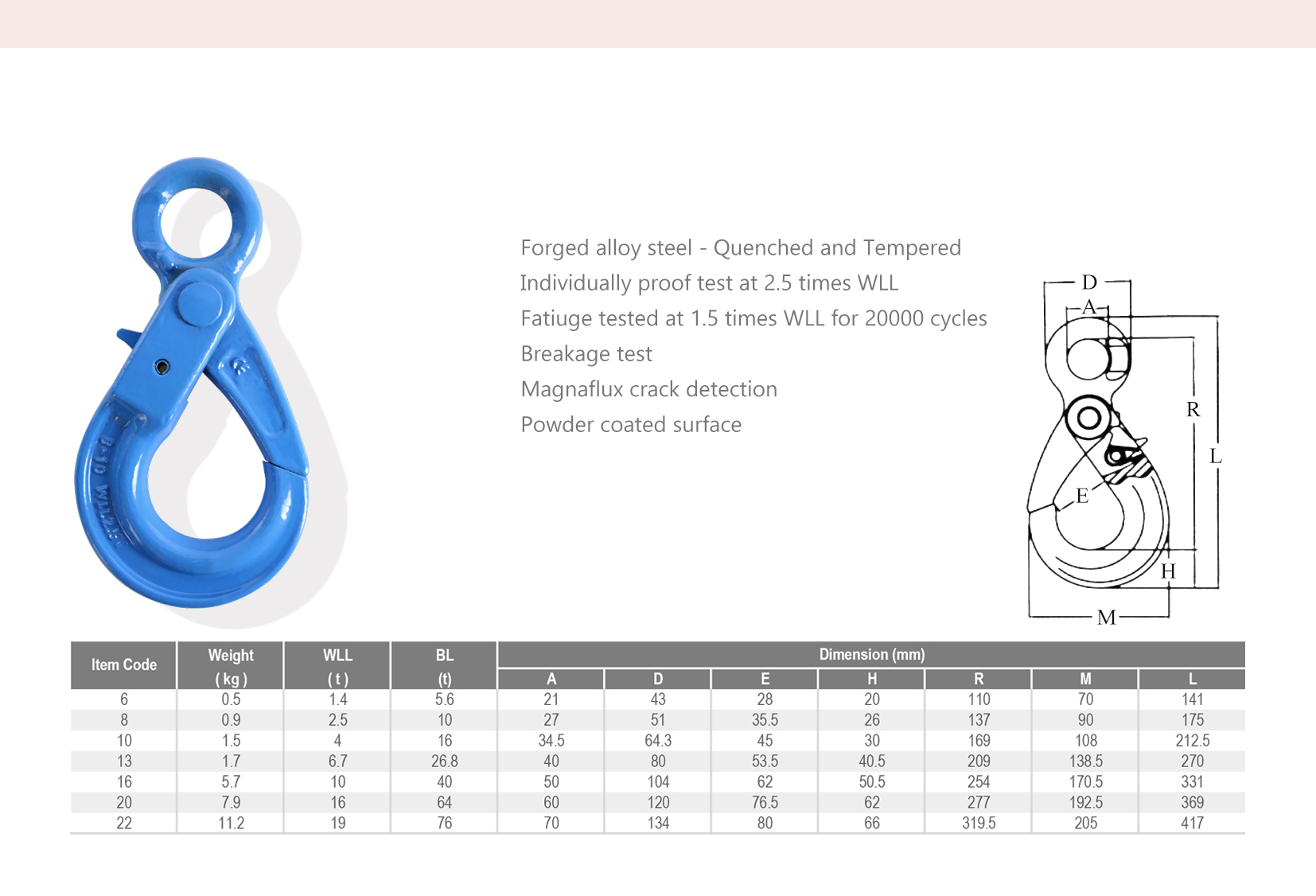 G100? -? IEL-0699H - spec.jpg