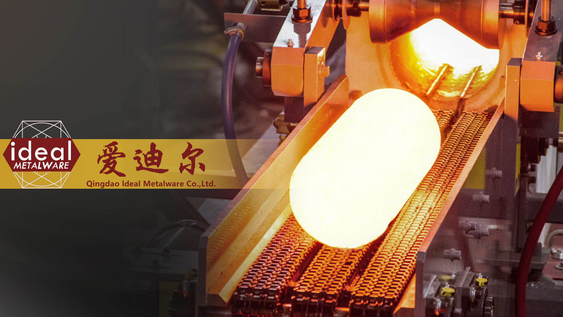 1704692000311593.jpg 畫(huà)板 1.jpg